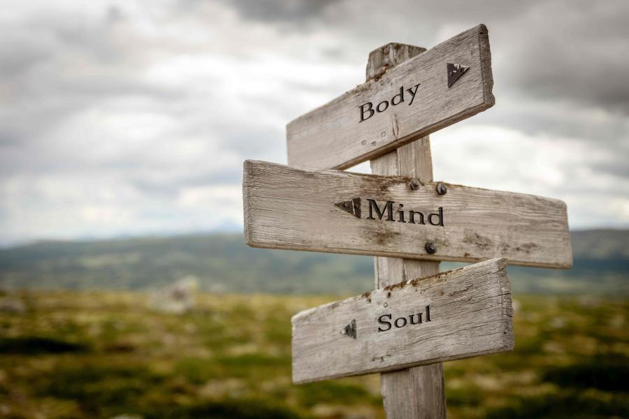 Body mind soul map post in nature