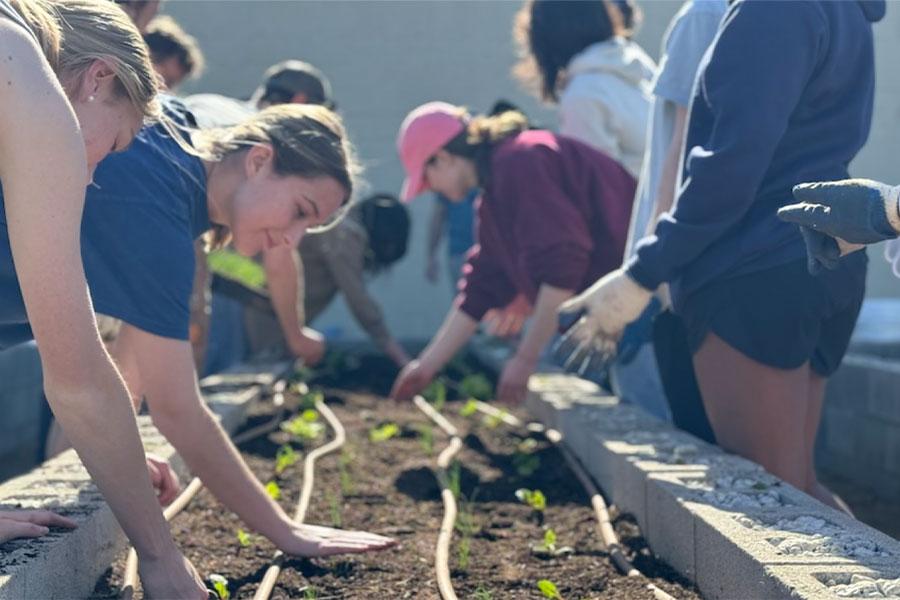 students working in a community garden planter